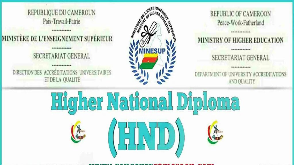 hnd1